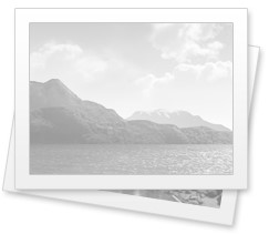 Состоялось II заседание областного комитета: итоги года и планы на будущее